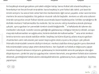1747387799695.webp