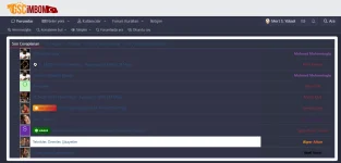 Screenshot Capture - 2025-05-18 - 18-26-18.webp