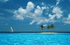 1747682603254.webp