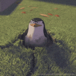 200w.gif