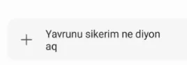 yavru.webp