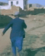 31.gif