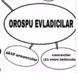 Screenshot 2025-06-10 at 11-59-00 miyala on X Taraftar değil oğuz boyları sanki aq ismailcile...webp