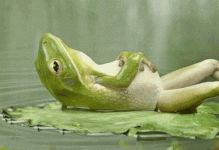 No Stress Relax GIF.gif