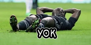 YOK.webp