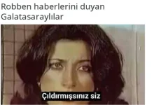 1750365024918.webp