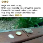 FB_IMG_1751332201317.webp
