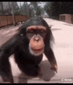1751387227789.gif