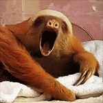 Sleepy GIF.gif