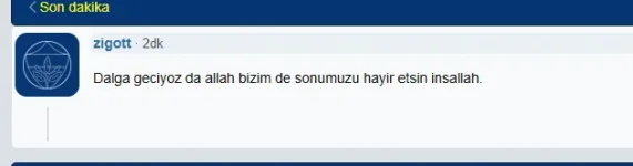 1753387715033.webp 1753387715033.webp