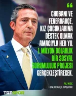 1754065992958.webp