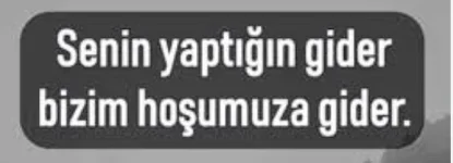 1754509306518.webp