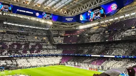 1755597184061.webp
