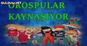 1755867390503.webp