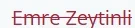 1756043175195.webp
