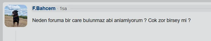 1756327017702.webp