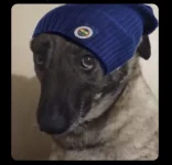 GHXjBgtWUAAaGAg.jpeg.webp