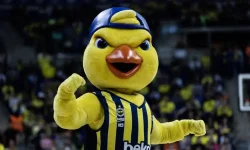 fenerbahce-maskotu-yellow-kimdir-ve-gercek-adi-ve-instagram-hesabi-nedir326.webp