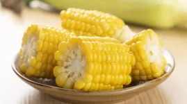 1759242027203.webp