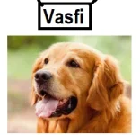 1759612113434.webp 1759612113434.webp