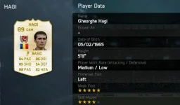 hagi.webp