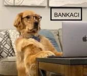1759819626177.webp 1759819626177.webp