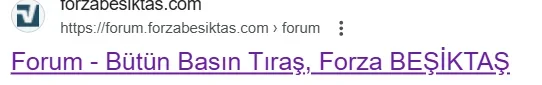 1761166429738.webp