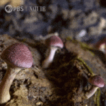 200w2.gif
