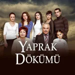 channels4_profile.webp