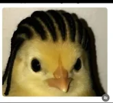 1763381375759.webp