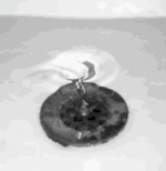 20251210_174118.gif
