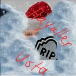 22745.webp