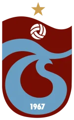 1770029625992.webp