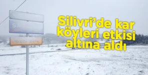 1546889126401.webp