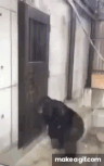 IMG_0462.gif
