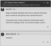 1772445077387.webp