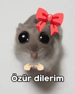 1772576481602.webp