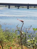IMG-20220829-WA0345.webp