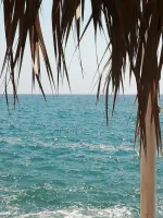 IMG-20220829-WA0170.webp