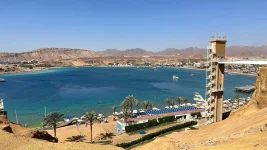 IMG-20240307-WA0011.webp