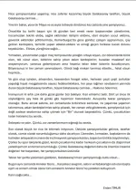 IMG_0704.webp