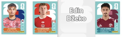 Screenshot_20260607_101045_it_panini_fifacollection_AndroidPlugin.webp