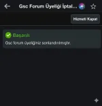 1781725478832.webp