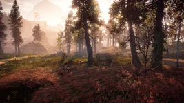 Horizon Zero Dawn_Sat_Jun_20_20-35-00_2026.webp