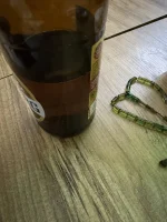 IMG_0521.webp IMG_0521.webp