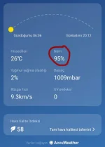 nem_01.webp