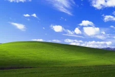 41.webp