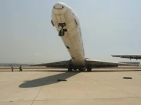 41323