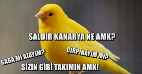 41471