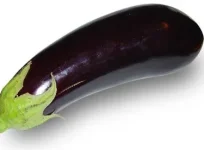 Patlıcan-375x276.webp